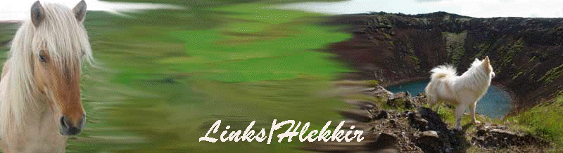 Links/Hlekkir
