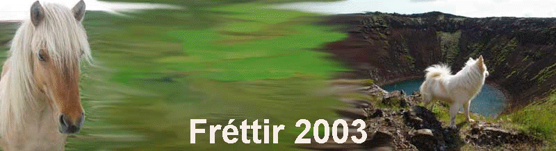 Fréttir 2003