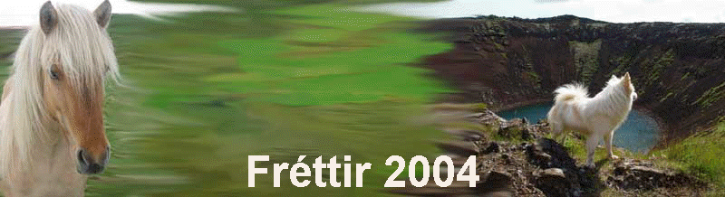 Fréttir 2004